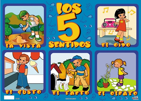 ORGANOS DOS SENTIDOS.