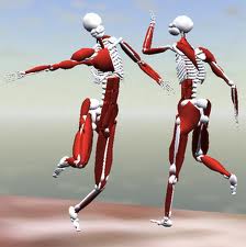 Aparello locomotor.