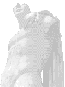 ACTIVIDADES ONLINE SOBRE O CORPO HUMANO.