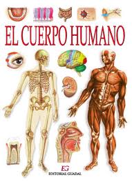 TODO SOBRE O CORPO HUMANO NO SEGUINTE ENLACE